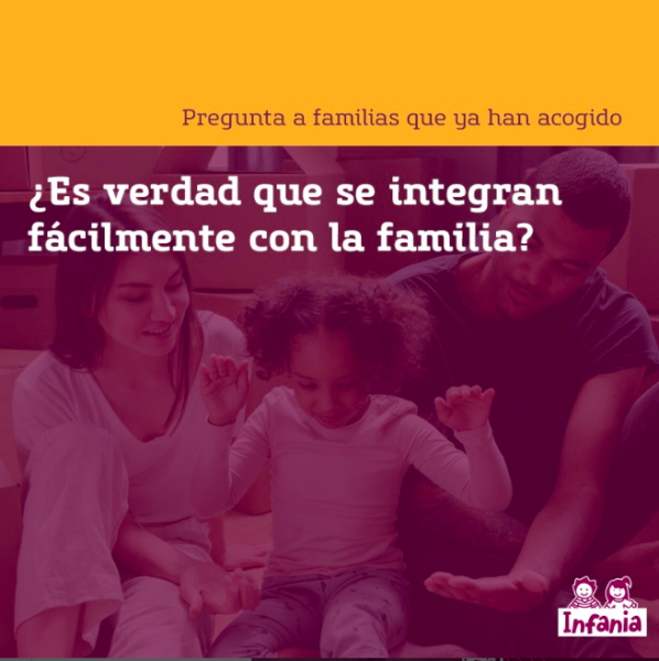 ¿Es verdad que se integran bien con la familia de acogida?